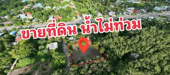 2 chambres Café / restaurant à Pattaya, Thailand No. 77954 18