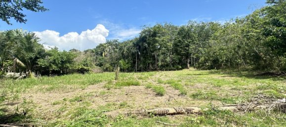 2 chambres Café / restaurant à Pattaya, Thailand No. 77954 6