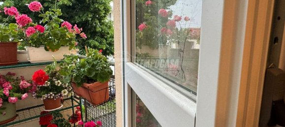 3 rooms Apartment in Savigliano, Italy No. 111002 17