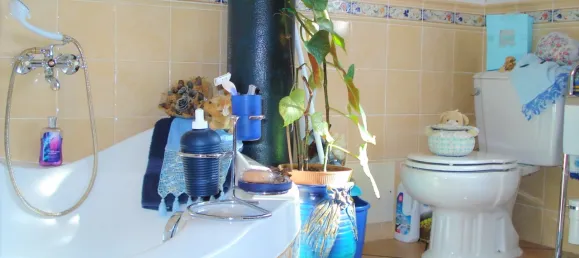 5 bedrooms House in Faro, Portugal No. 67717 14