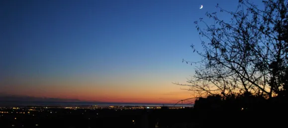 5 bedrooms House in Faro, Portugal No. 67717 18