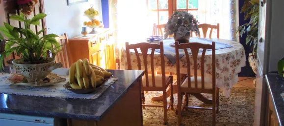 5 bedrooms House in Faro, Portugal No. 67717 6