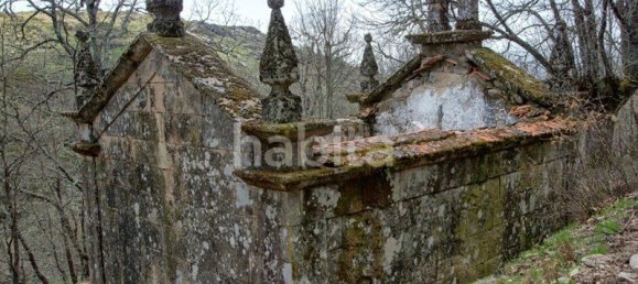 25 bedrooms House in Boticas, Portugal No. 112843 7