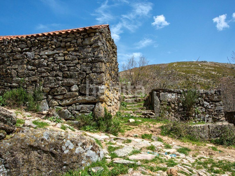 25 bedrooms House in Boticas, Portugal No. 112843