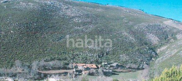 25 bedrooms House in Boticas, Portugal No. 112843 15