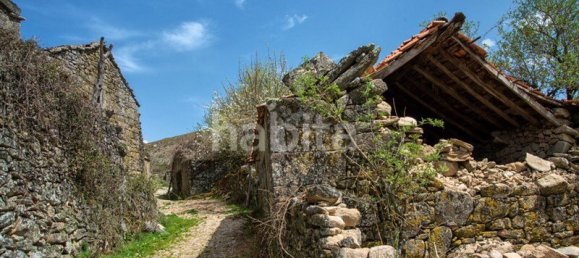 25 bedrooms House in Boticas, Portugal No. 112843 4