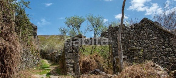 25 bedrooms House in Boticas, Portugal No. 112843 24