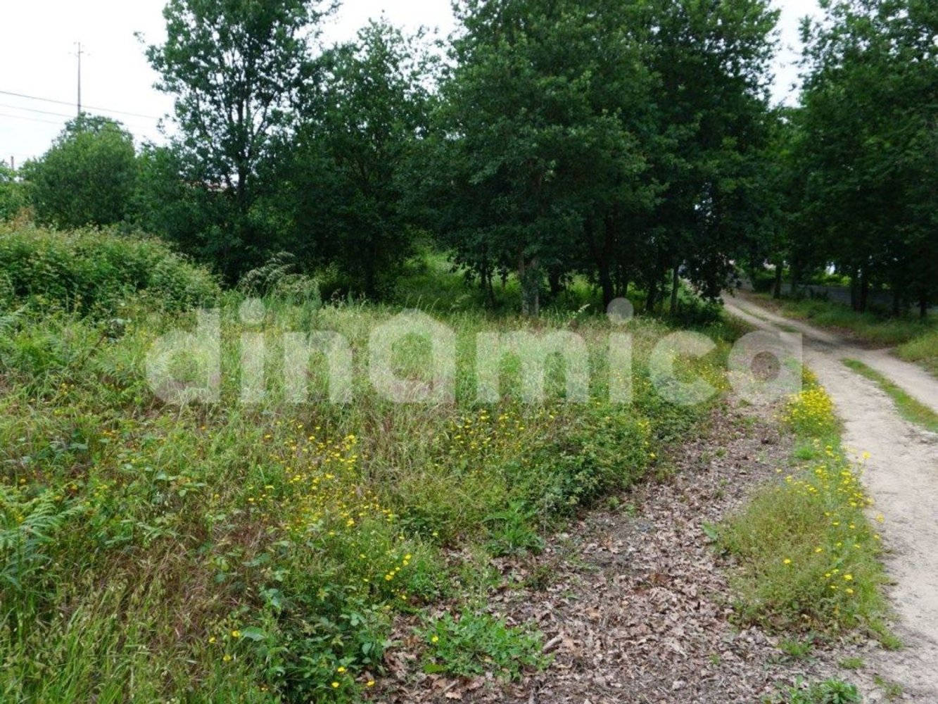 Grundstück in Vila Nova de Famalicao, Portugal 6500m², Nr. 32418