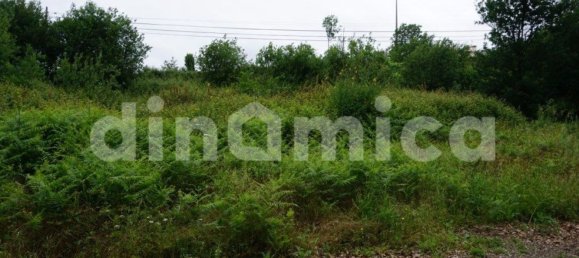 Grundstück in Vila Nova de Famalicao, Portugal 6500m², Nr. 32418 2