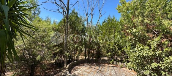 3 chambres Villa à Andria, Italy No. 344231 15