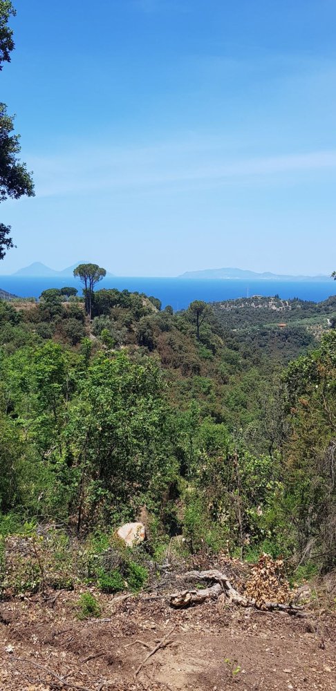 8 rooms House in Ficarra, Italy No. 256004