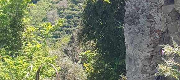 8 rooms House in Ficarra, Italy No. 256004 6