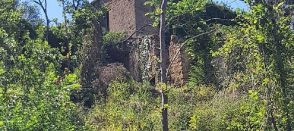 8 rooms House in Ficarra, Italy No. 256004 10