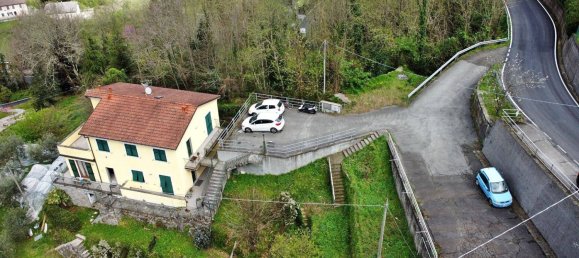 1 bedroom Apartment in Mezzanego, Italy No. 302549 13