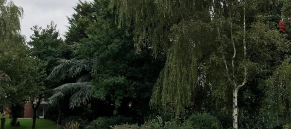 Grundstück in Wesermarsch, Germany, Nr. 315756 7