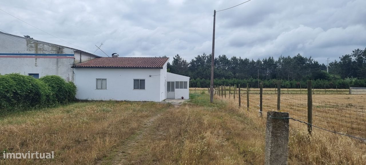 Grundstück in Vagos, Portugal 734m², Nr. 251152