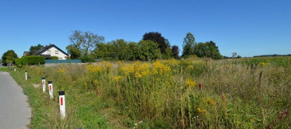  قطعة أرض في Wiener Neustadt, Austria رقم 244024 3