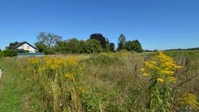  قطعة أرض في Wiener Neustadt, Austria رقم 244024