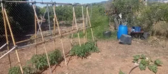 2 bedrooms House in Almoines, Spain No. 190563 7