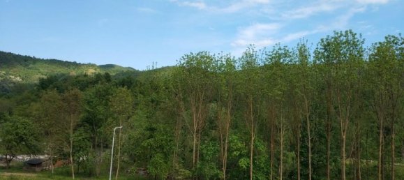 4 rooms Penthouse in Nucetto, Italy No. 231731 8