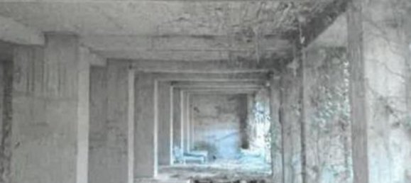 12369m² Commercial property in Città di Castello, Italy No. 371233 3