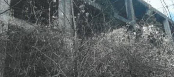 12369m² Commercial property in Città di Castello, Italy No. 371233 4