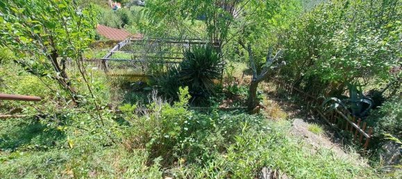 2 bedrooms House in Licciana Nardi, Italy No. 274189 26