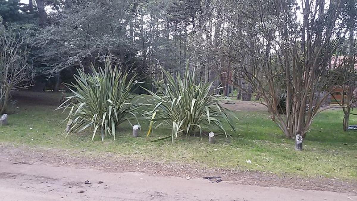 Grundstück in Mar del Plata, Argentina, Nr. 115201