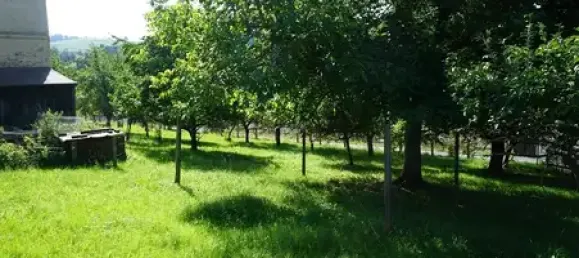 6 rooms Farm in Vogtlandkreis, Germany No. 86103 8