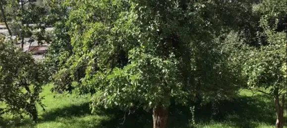 6 rooms Farm in Vogtlandkreis, Germany No. 86103 7