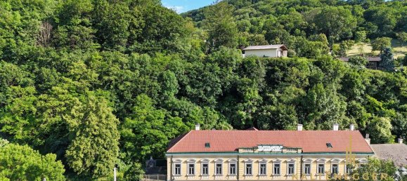 15 rooms House in St. Andra-Wordern, Austria No. 23389 22