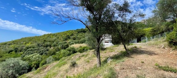 8000m² Hotel for sale in Corfu, Central Corfu and Diapontian Islands, Corfu, Ionian Islands, Peloponnese, Western Greece and the Ionian, Greece № 53868 16