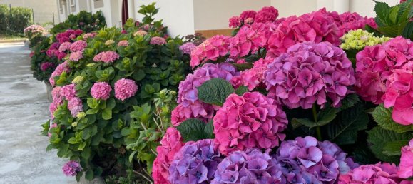 Квартира с 2 спальнями в Кантабрия, Испания № 158475 15