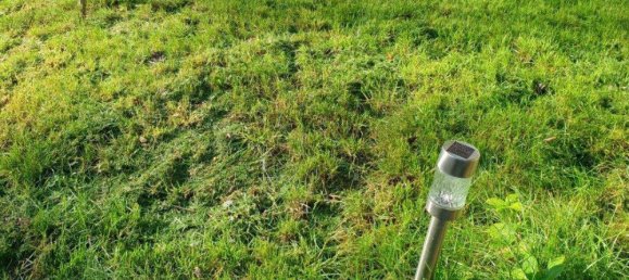 2-Zimmer Haus in Oberschützen, Austria, Nr. 246706 30