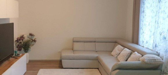 2-Zimmer Haus in Oberschützen, Austria, Nr. 246706 19