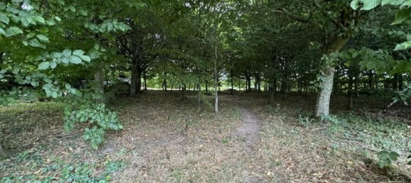 Villa de 4 dormitorios en Jolimetz, France No. 363623 5