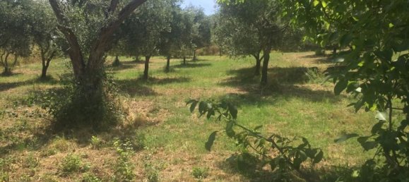 Земельный участок 13000м² в Фрассо Телезино, Италия № 254511 9