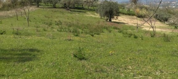 Земельный участок 13000м² в Фрассо Телезино, Италия № 254511 8