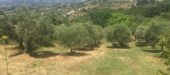 Земельный участок 13000м² в Фрассо Телезино, Италия № 254511 4