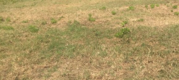 Земельный участок 13000м² в Фрассо Телезино, Италия № 254511 2