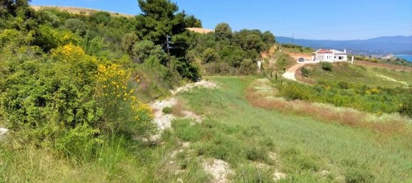 Hôtel à Chalkidiki, Greece 11000m² No. 6241 3