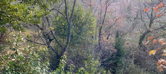 Grundstück in Casaprota, Italy 3950m², Nr. 40089 15