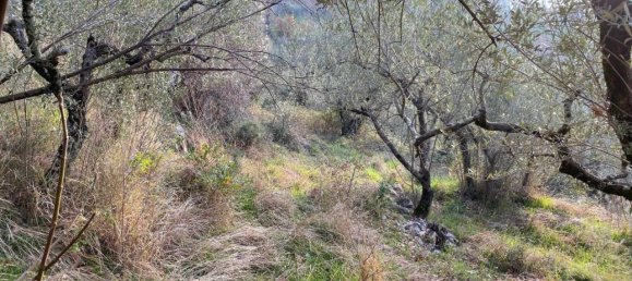 Grundstück in Casaprota, Italy 3950m², Nr. 40089 8