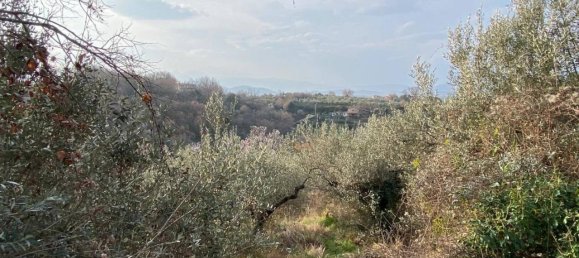 Grundstück in Casaprota, Italy 3950m², Nr. 40089 5