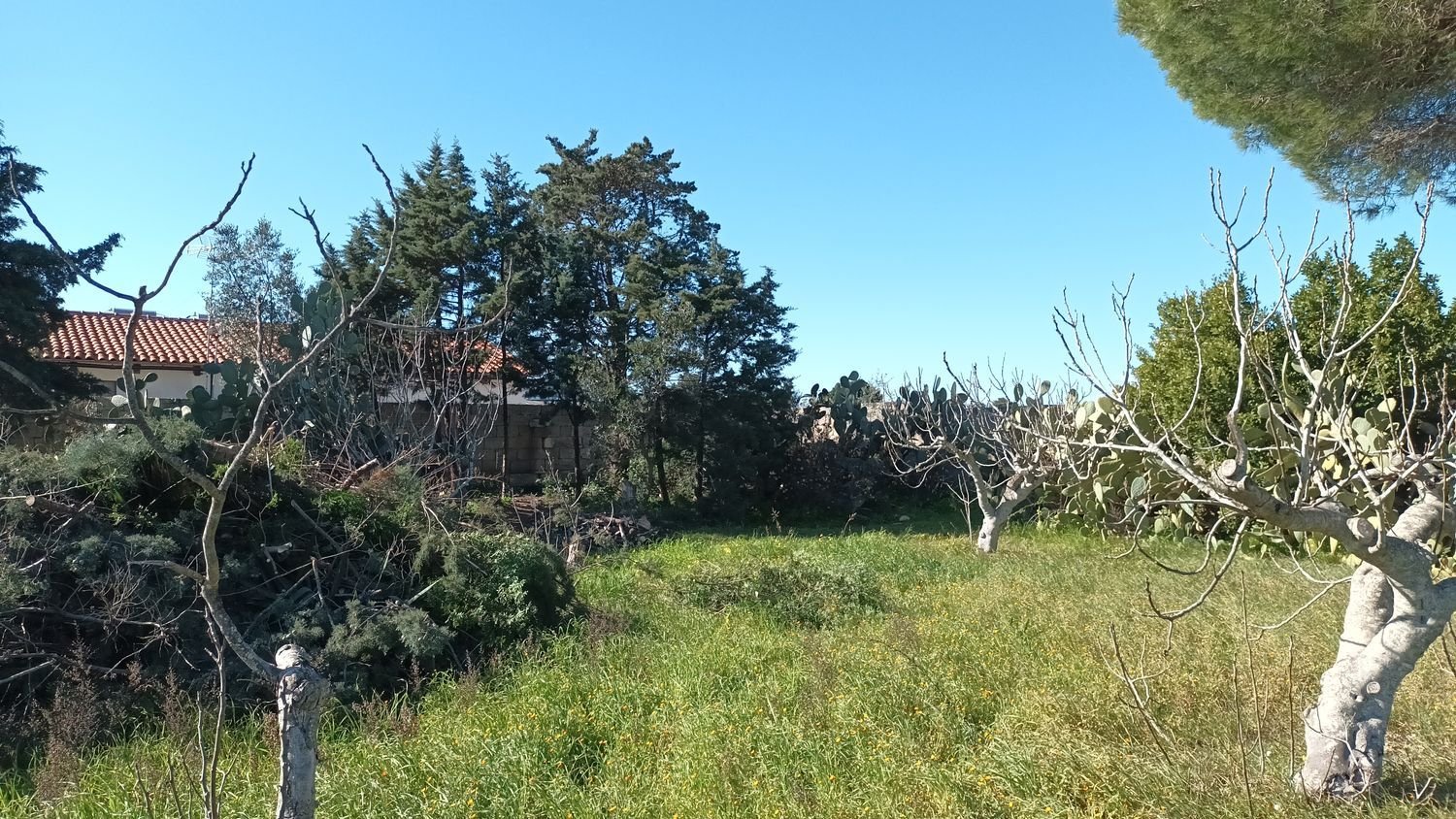 3541m² Land in Lecce, Italy No. 267518