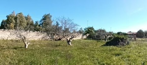 3541m² Land in Lecce, Italy No. 267518 2