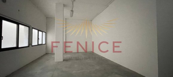 2 rooms Commercial property in Montebelluna, Italy No. 325891 13