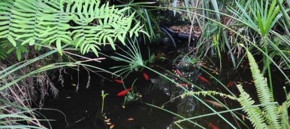 6 غرف نوم فيلا في Lecci, France رقم 155942 2