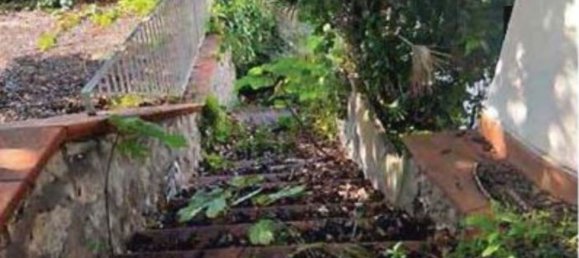 7 rooms Apartment in Anacapri, Italy No. 14153 32