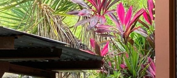 3 bedrooms House in Garabito, Costa Rica No. 845 5